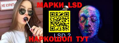 молекула духа Шелехов