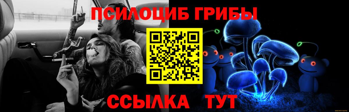 Галлюциногенные грибы GOLDEN TEACHER Кулебаки